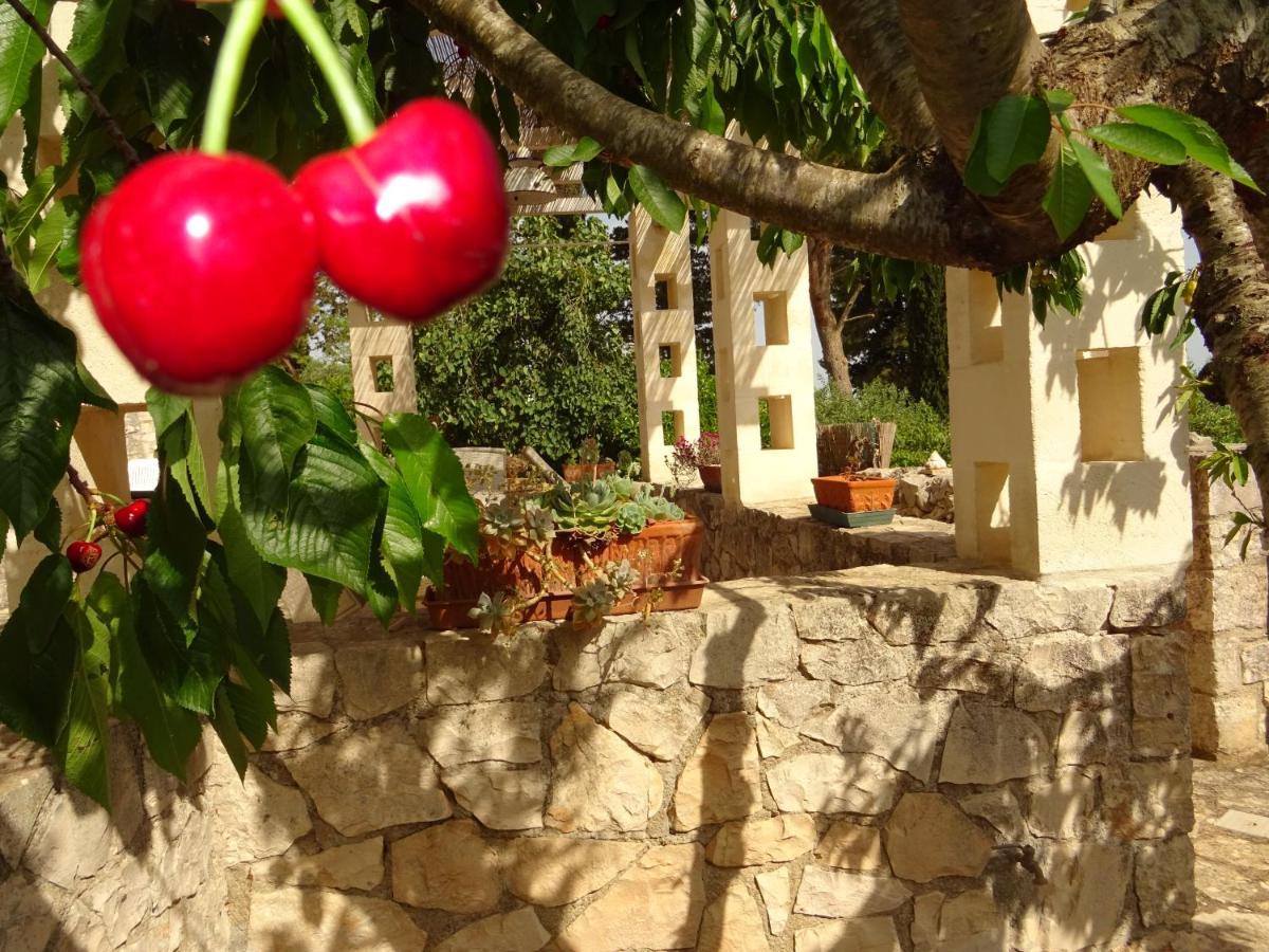 Gasthaus Trulli Di Zia Tata Locorotondo Exterior foto